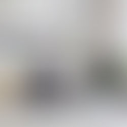 Não Tenha Medo de Pintar no Inverno